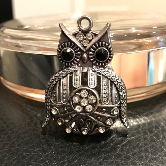 Jewelry - Rhinestone Owl pendant with hollow body.